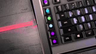 SteelSeries Apex M800 Mechanical Gaming Keyboard [upl. by Ileana]