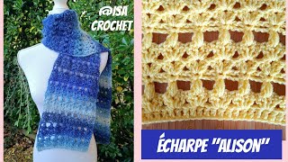 🧣Tuto écharpe quotAlisonquot au crochet en Furry shimmer cake de chez Action isacrochet [upl. by Akeimahs]