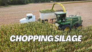 Chopping Silage 2024  WE GOT A NEW CHOPPER [upl. by Mcfadden]