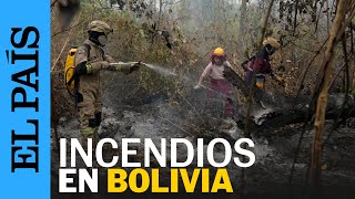 BOLIVIA  Declaran emergencia nacional tras incendios forestales  EL PAÍS [upl. by Yelekreb122]