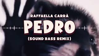 Raffaella Carrà  PEDRO tik tok hit SOUND BASS Remix pedro trendingmusic soundbass [upl. by Roosnam]