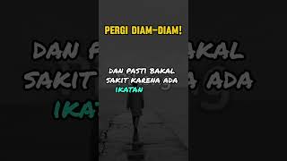 pergi diam diam [upl. by Atnauqahs]