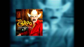 El Chapo de Sinaloa  Triunfador Audio [upl. by Hugues996]