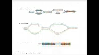 BroadE The General Approach to De novo RNASeq Assembly Using De Bruijn Graphs [upl. by Gerstein]