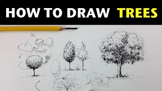 How to Draw Trees with Pen amp Ink [upl. by Catina]