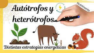 HETERÓTROFOS y AUTÓTROFOS Distintas estrategias energéticas [upl. by Norval]