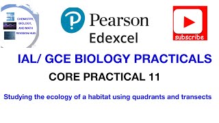 Studying the ecology of a habitat using quadrants and transects Biology core practical 11 [upl. by Terrance]