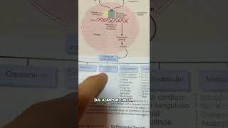 TIREOIDE PORQUE CAUSA TANTOS SINTOMAS tireoide hipotireoidismo medicinaintegrativa [upl. by Annairoc472]