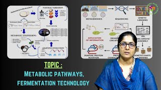 Metabolic Pathways Fermentation Technology by Dr P Archana Rao [upl. by Wolbrom]