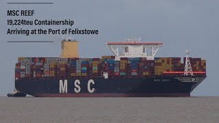 MSC REEF  Ultra large containership  port of felixstowe 21923 [upl. by Ahsaei]