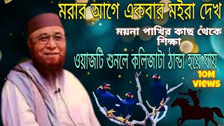 মরার আগে একবার মইরা দেক। ওয়াজ টি শুনলে আপনি অনেক বড় একটা শিক্ষা পাবেন। 🥀🥰❤️1000subscriber 10mviews [upl. by Tedd]