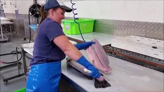 Fishwife Filleting Baramundi [upl. by Stasny]