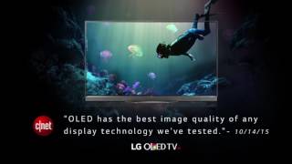 LG OLED TVs at Abt [upl. by Shelli]