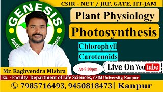 Photosynthesis  Chlorophyll  Carotenoids  Plant Physiology  CSIR NETJRF  IITJAM [upl. by Kelby]