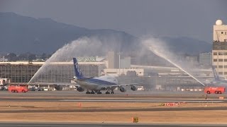 伊丹空港 さよなら ANA B747 ジャンボジェット あの日の記憶 2014年1月12日 （BGM付） [upl. by Repsag35]