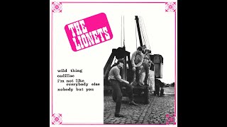 The Lionets  Im Not Like Everybody Else The Kinks Cover [upl. by Leid856]