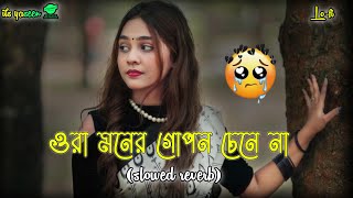 Hridoyer Rong Lyrics  ওরা মনের গোপন চেনে না  Alivia Sarkar  Ora moner gopon  Slowed amp Reverb [upl. by Ilocin556]