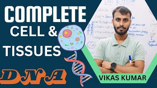 Complete Cell and Tissue Cell ampTissue DNA amp PROTEINS Mitosis [upl. by Quinby52]