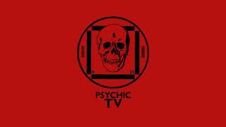 Live at the Danceteria  Psychic TV [upl. by Eirrol826]