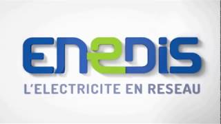 12 Enedis Connect  Importer sur compte partenaire les demandes dun compte existant [upl. by Ahsitam]