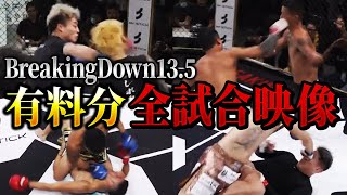 【有料分含む】ブレイキングダウン135の全試合映像を集めてみた【朝倉未来朝倉海切り抜き】 [upl. by Odlanyer560]