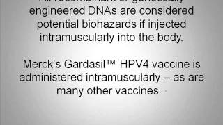 SANE Vax Inc Discovers Potential Biohazard Contaminant in Mercks Gardasil™ HPV 4 Vaccine [upl. by Niall399]