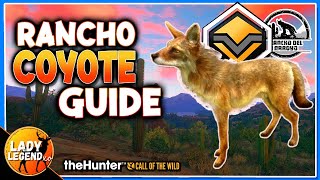 Rancho Del Arroyo Pheasant Guide TheHunter Call of The Wild 2023 [upl. by Lad]