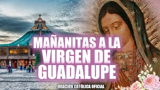 MAÑANITAS A LA VIRGEN DE GUADALUPE Y SANTA MISA 2022 DESDE LA BASILICA DE GUADALUPE 2022 [upl. by Billen]