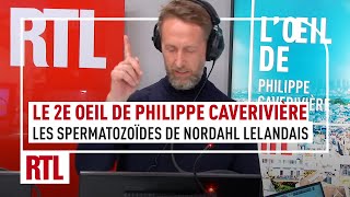 Le 2e Oeil de Philippe Caverivière  les spermatozoïdes de Nordahl Lelandais [upl. by Namar]