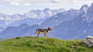 Garmisch Partenkirchen 2024 [upl. by Areht69]