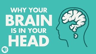 Why Your Brain Is In Your Head [upl. by Axe]