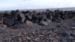 Hornsea Sea Defences [upl. by Dulce494]