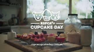 RSPCA Cupcake Day 2018 [upl. by Naanac]