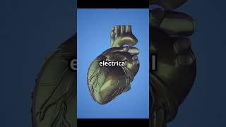 Why your heart beats outside your body shorts viralvideo heart heartbeat selfcare facts [upl. by Tisman]