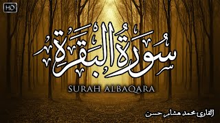 سورة البقرة كاملة  القارئ محمد هشام Surah Al Baqarah [upl. by Meave]