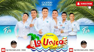 La Unica Tropical Mix Partido En Dos Si Esta Casa Hablara Te Burlaste De Mi Mas Dj Fer [upl. by Onfre]