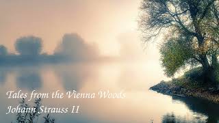 Johann Strauss  Tales from the Vienna Woods [upl. by Eolande]