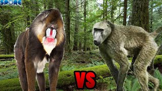 Mandrill vs Baboon  SPORE [upl. by Anyela]