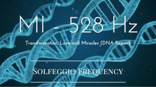 MI  528 Hz  pure tone  Solfeggio Frequency  Transformation Love and Miracles DNA Repair [upl. by Ais]