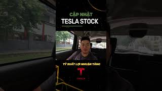 Cập nhận Tesla stock by Dan Steel [upl. by Yelnahs]