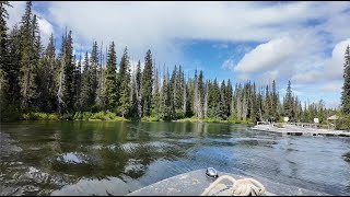 Advanced Monitoring Of Sockeye Salmon Smolts In The Meziadin River [upl. by Anahpos]