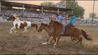 Championship Wild Horse Race  2023 Miles City Bucking Horse Sale  5th Race [upl. by Anallise832]