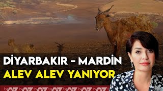 DİYARBAKIR  MARDİN ALEV ALEV YANIYOR [upl. by Negiam]