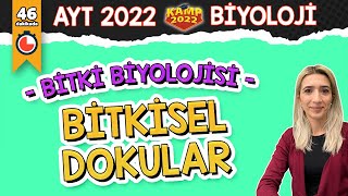 Bitkisel Dokular  AYT Biyoloji Kamp2022 [upl. by Remus]