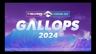 2024 Hollywoodbets Durban July Gallops Panel Discussion [upl. by Fidelis526]