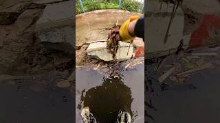 Solve garbage that clogs drains unclog fishing remove clogged automobile rainwaterharvesting [upl. by Tucky631]