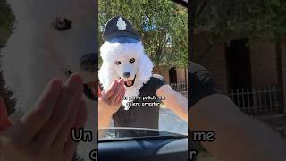 Un PERRO policía me quiere arrestar perro viral [upl. by Drawd934]