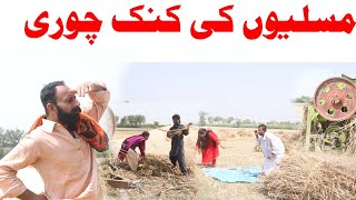 MUSLIYO KI KANAK CHORI PAR APS MIAN LADIYAN  MOLA BAKSH GULU MUSLI NEW COMEDY VIDEO 2024 [upl. by Proctor]