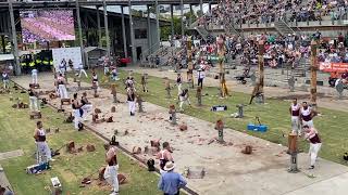 Interstate relay at Sydney royal Eastershow 2024  NSW VS VIC VS QLD woodchopping lumberjacks [upl. by Rebba425]