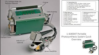 Practical LI6400XT Preparation Checklist and Leaf Measurement [upl. by Chamkis]